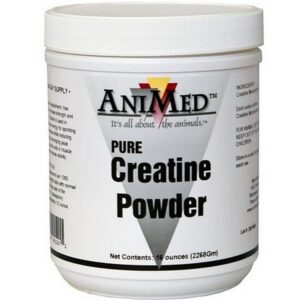 AniMed Aniflex Pure Creatine Powder for Horses 16 oz