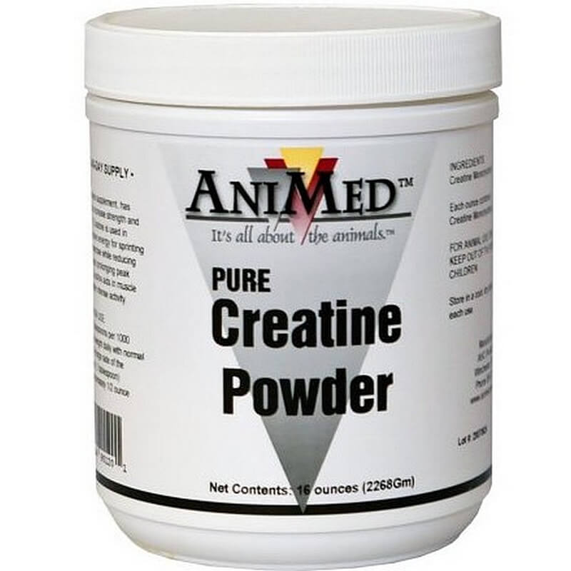 AniMed Aniflex Pure Creatine Powder for Horses 16 oz