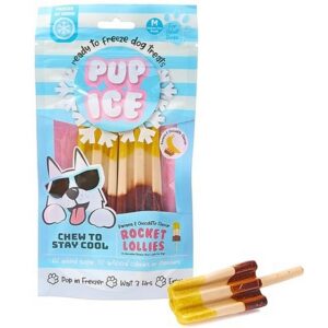 Pup Ice Rocket Lollies Banana & Chocolate Flavor Dog Treats 2 pk