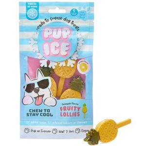 Pup Ice Fruity Lollies Pineapple Flavor Dog Treats 3 pk