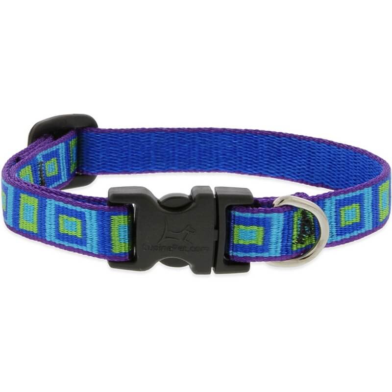 Lupine Sea Glass Dog Collar 10″-16″
