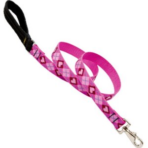 Lupine Puppy Love Dog Leash 6’