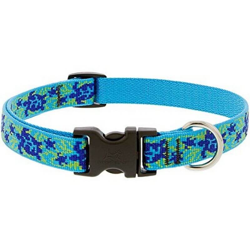 Lupine Turtle Reef Dog Collar 9″-14″