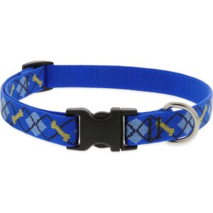 Lupine Dapper Dog Collar 9"-14"