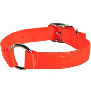 Valhoma Center Ring Reflexite Hunting Orange Dog Collar 20”