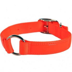 Valhoma Center Ring Reflexite Hunting Orange Dog Collar 18”