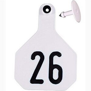 Y-Tex 4 Star White Ear Tags 26-50