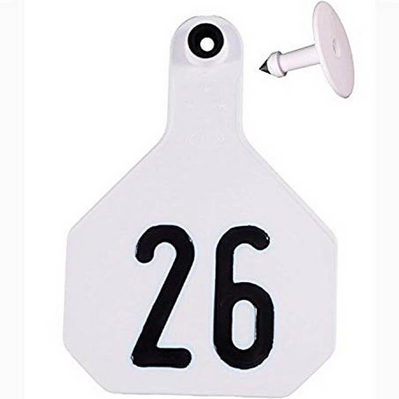 Y-Tex 4 Star White Ear Tags 26-50