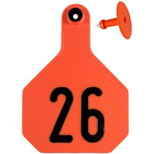 Y-Tex 4 Star Orange Ear Tags 26-50