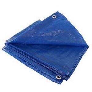 Grip-Rite Economy Blue Tarp 6’x8’